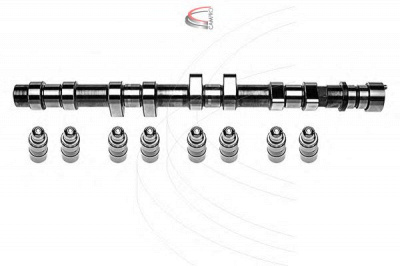 CAMPRO cp62231 - Комплект распредвала