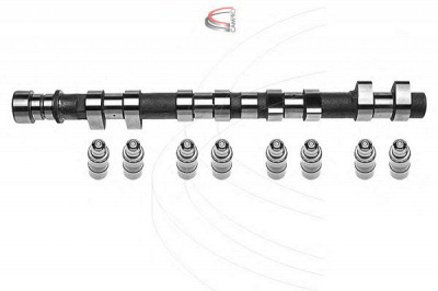 CAMPRO cp62233 - Комплект распредвала