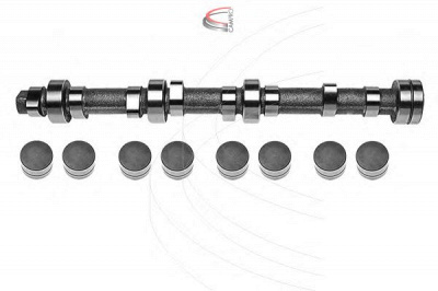 CAMPRO cp62276 -  Комплект распредвала