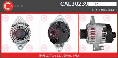 CASCO cal30239gs -  Генератор