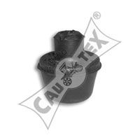 CAUTEX 020500 - Подвеска, радиатор
