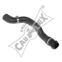 CAUTEX 021222 -  Шланг радиатора