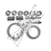 CAUTEX 030373 -  Монтажный комплект, система выпуска