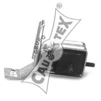 CAUTEX 080066 -  Подвеска, двигатель