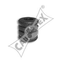 CAUTEX 080193 -  Подвеска, рычаг независимой подвески колеса