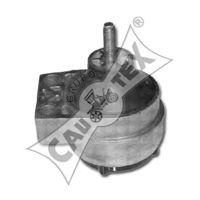 CAUTEX 081043 -  Подвеска, двигатель