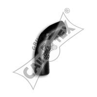 CAUTEX 186043 -  Шланг радиатора