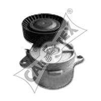 CAUTEX 201008 -  Натяжная планка, поликлиновой ремень