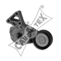 CAUTEX 460984 -  Натяжная планка, поликлиновой ремень