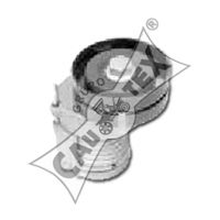 CAUTEX 460987 -  Натяжная планка, поликлиновой ремень