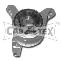 CAUTEX 480491 -  Подвеска, двигатель