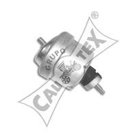 CAUTEX 480496 -  Подвеска, двигатель