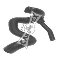 CAUTEX 486251 -  Шланг радиатора