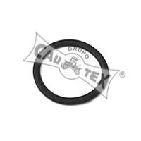 CAUTEX 952047 -  Прокладка, термостат