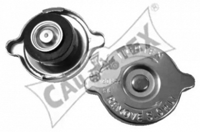 CAUTEX 954099 -