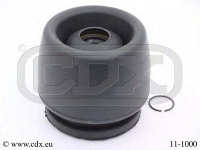 CDX 111000 -