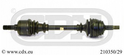 CDX 21035029 -  