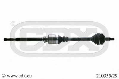 CDX 21035529 -  