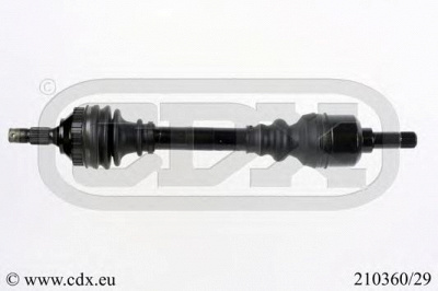 CDX 21036029 -  