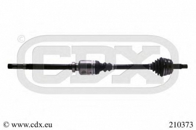 CDX 210373 -