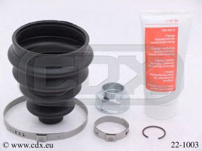 CDX 221003 -  