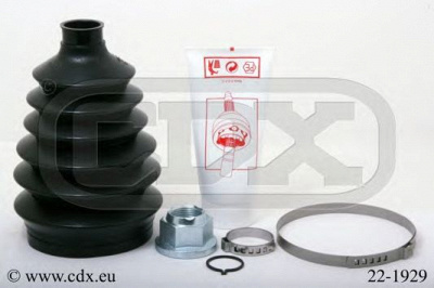 CDX 221929 -