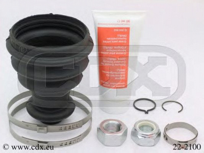 CDX 222100 -  