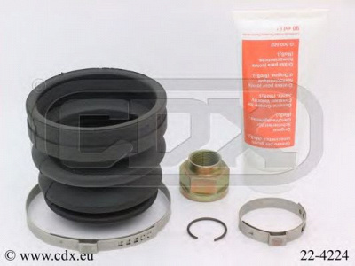 CDX 224224 -  