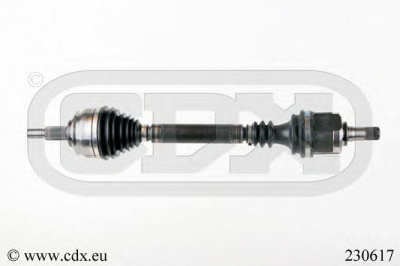 CDX 230617 -  