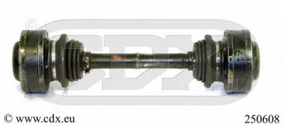 CDX 250608 -