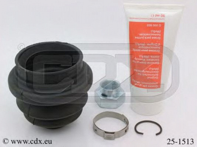 CDX 251513 -