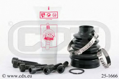 CDX 251666 -