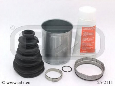 CDX 252111 -