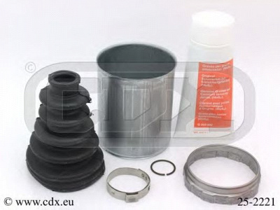 CDX 252221 -