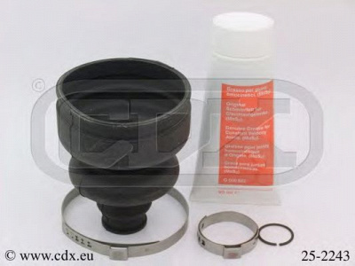 CDX 252243 -  