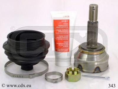 CDX 343 -