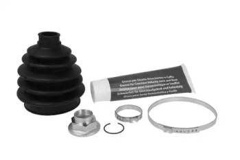 CIFAM 613578 -