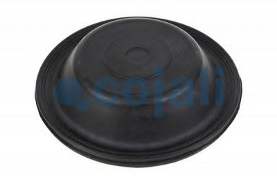 COJALI 6001100 -