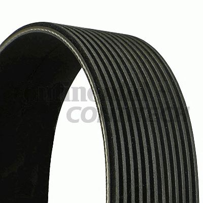 CONTITECH 12pk1515 -  Поликлиновой ремень