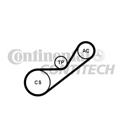 CONTITECH 4pk925k1 -  Поликлиновой ременный комплект