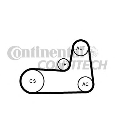 CONTITECH 5pk1125k1 -  Поликлиновой ременный комплект