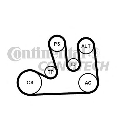 CONTITECH 5pk1750k1 -  Поликлиновой ременный комплект