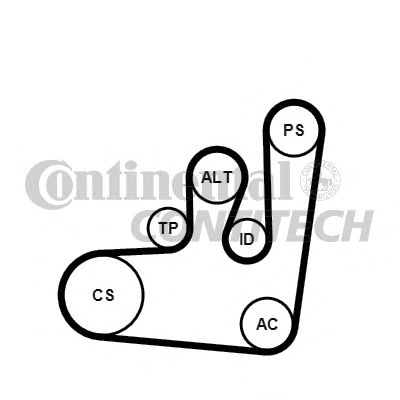 CONTITECH 6pk1145k1 -  Поликлиновой ременный комплект