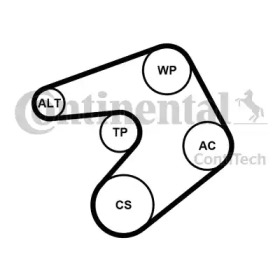 CONTITECH 6pk1205k1 -