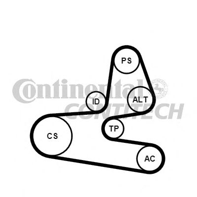 CONTITECH 6pk1564k1 -  Поликлиновой ременный комплект