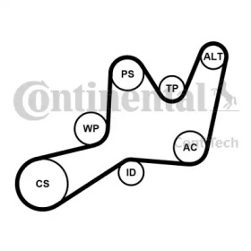 CONTITECH 6pk1605k1 -  