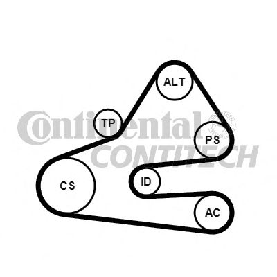 CONTITECH 6pk1613k1 -  Поликлиновой ременный комплект