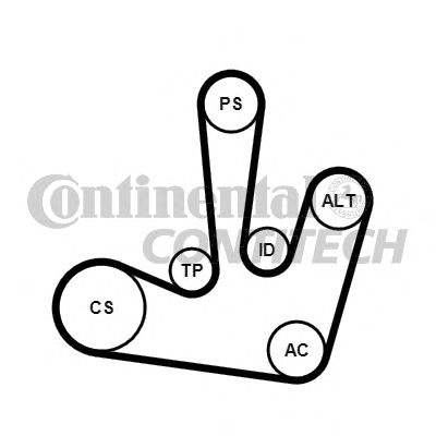 CONTITECH 6pk1795k1 -  Поликлиновой ременный комплект