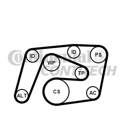 CONTITECH 6pk2260k1 -  Поликлиновой ременный комплект