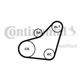 CONTITECH 6pk800k1 -  